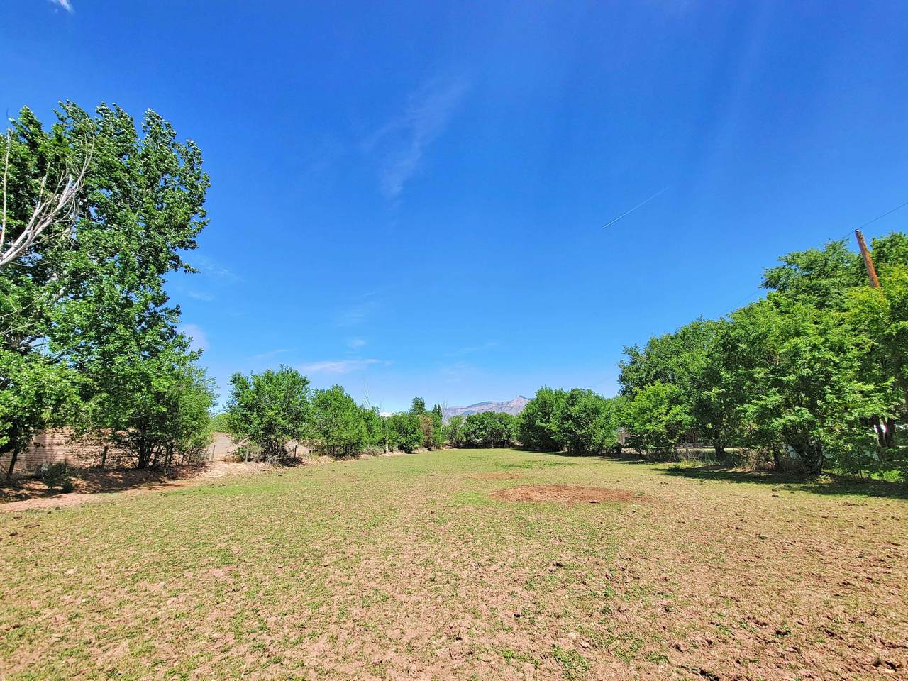 7310 Corrales Road - Photo 1