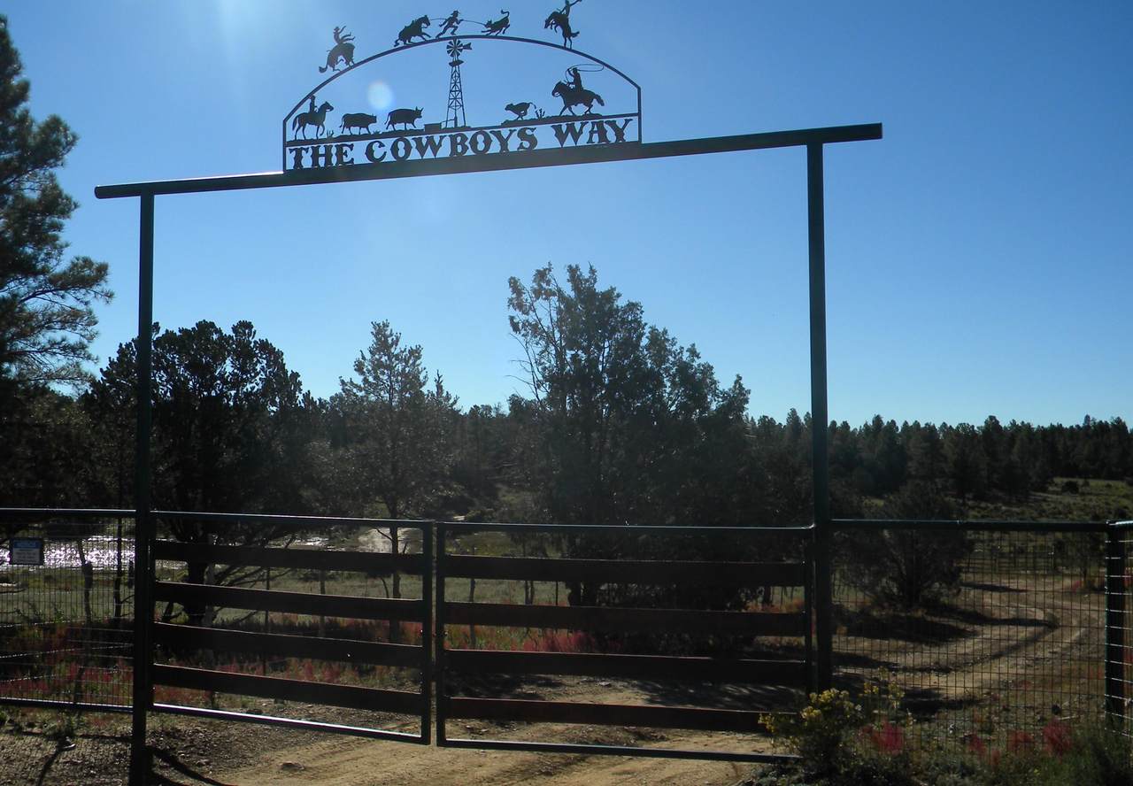 10 Lasso Lane - Photo 1
