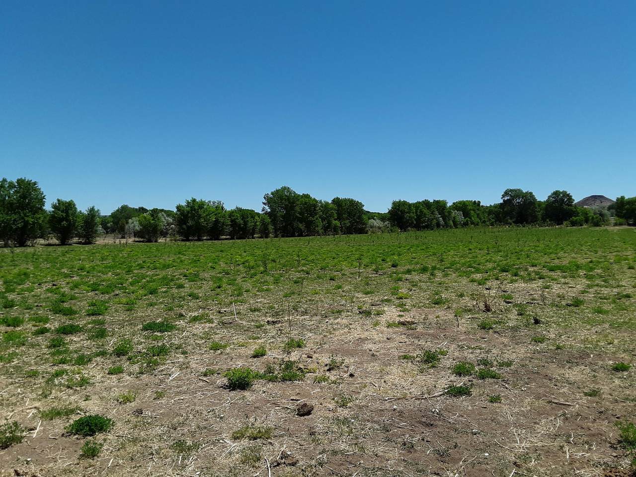 60 Acequia Road - Photo 1