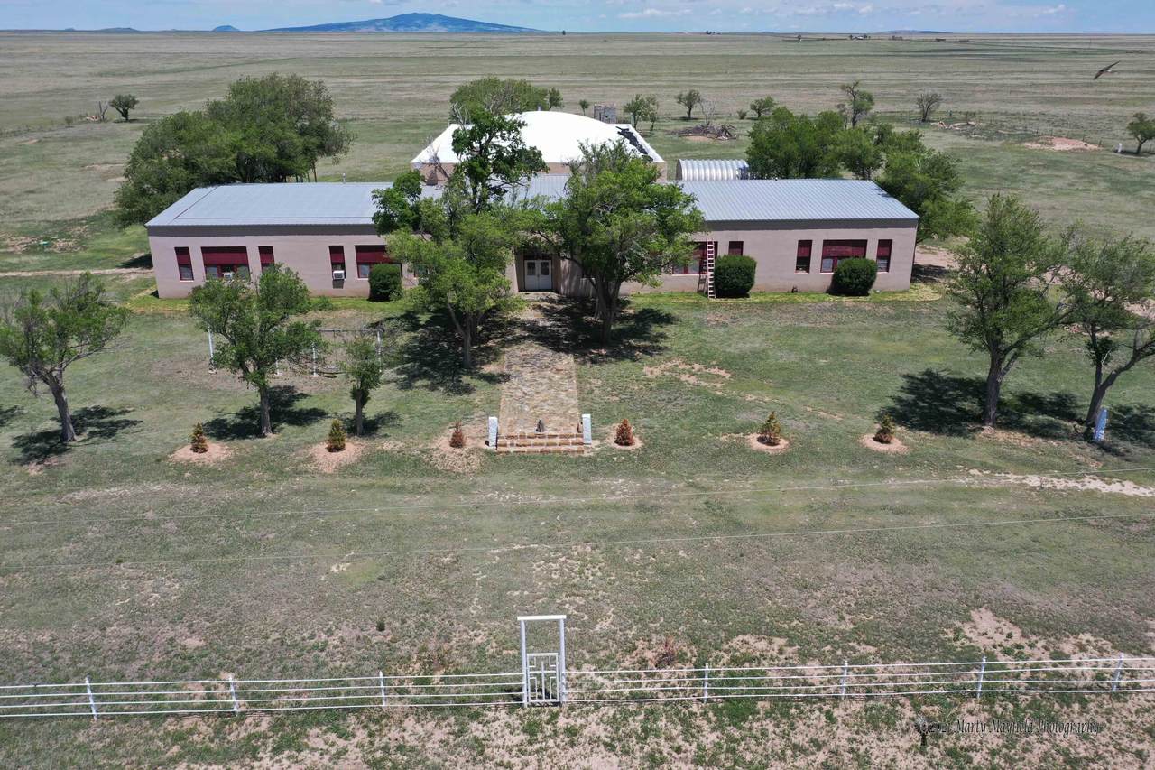 2007 Sofia Road - Photo 1