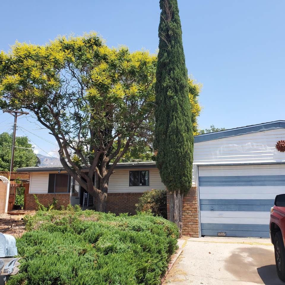 11924 Leah Court - Photo 1