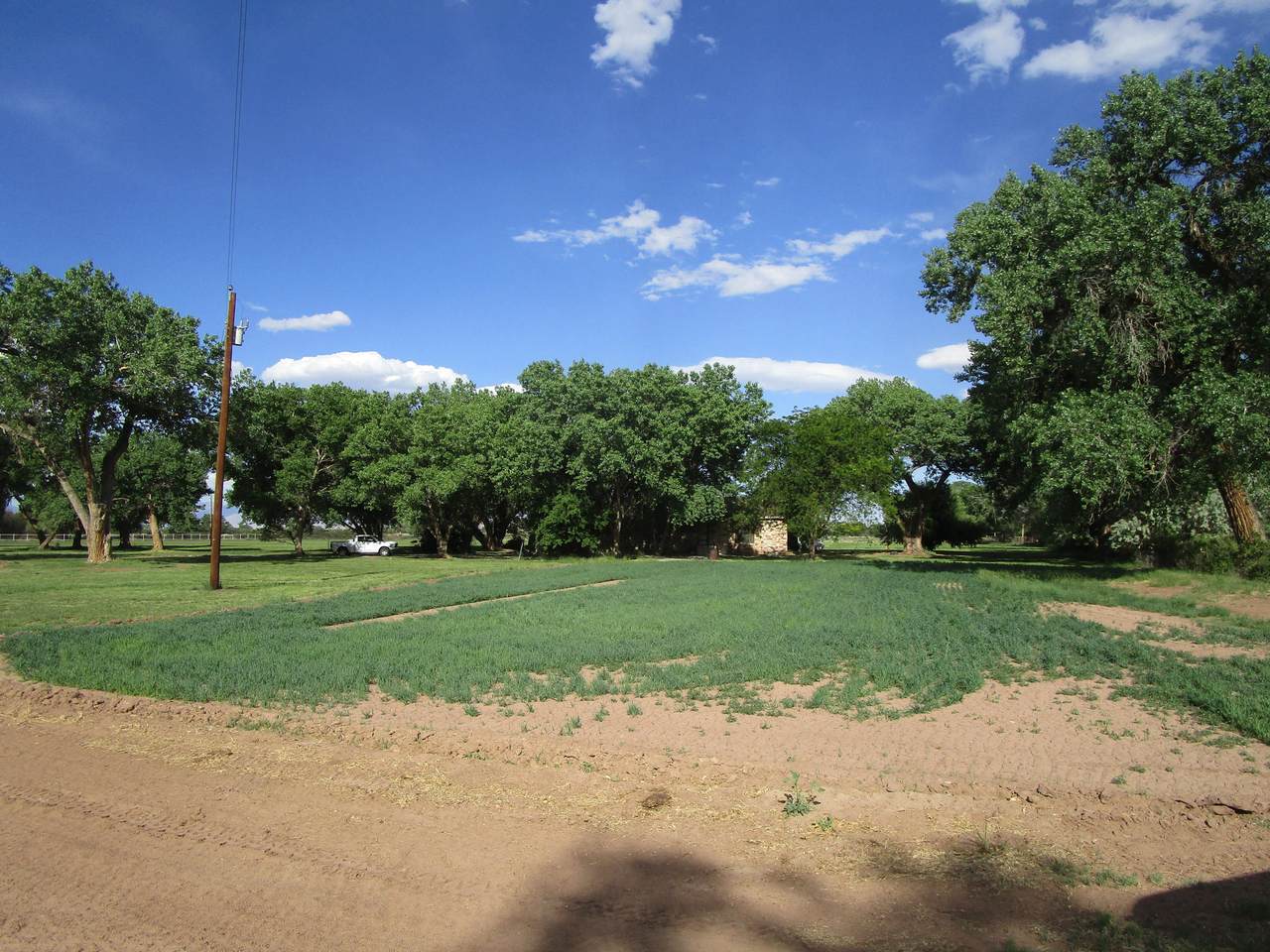 740 Shady Lane - Photo 1