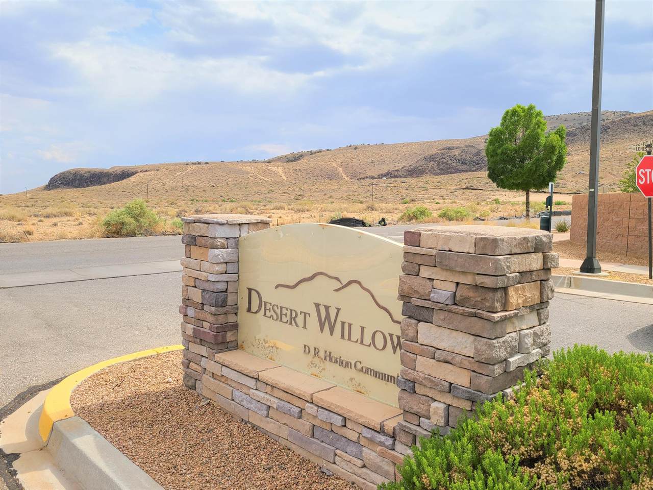 780 Prairie Sage Court - Photo 1