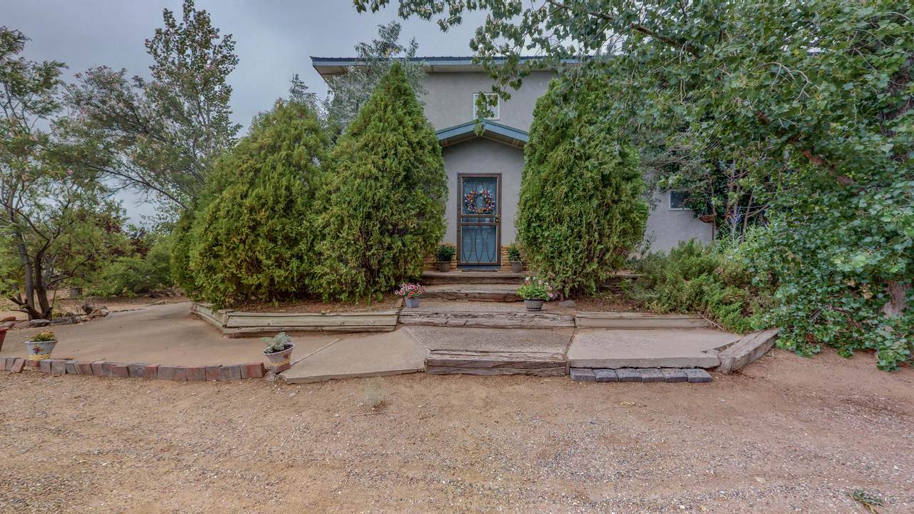 5345 Kim Road - Photo 1