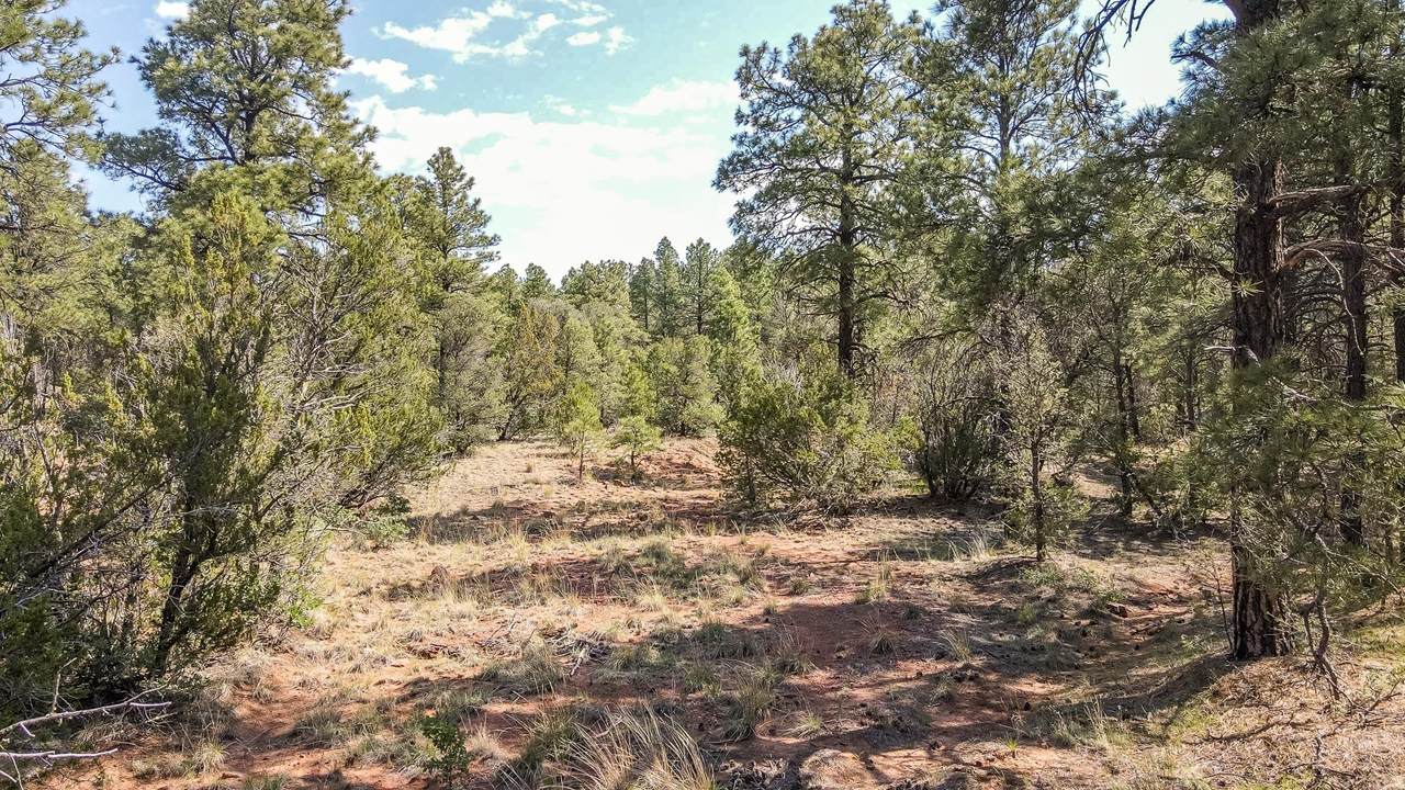 Santa Fe Trail Ranch - Photo 1