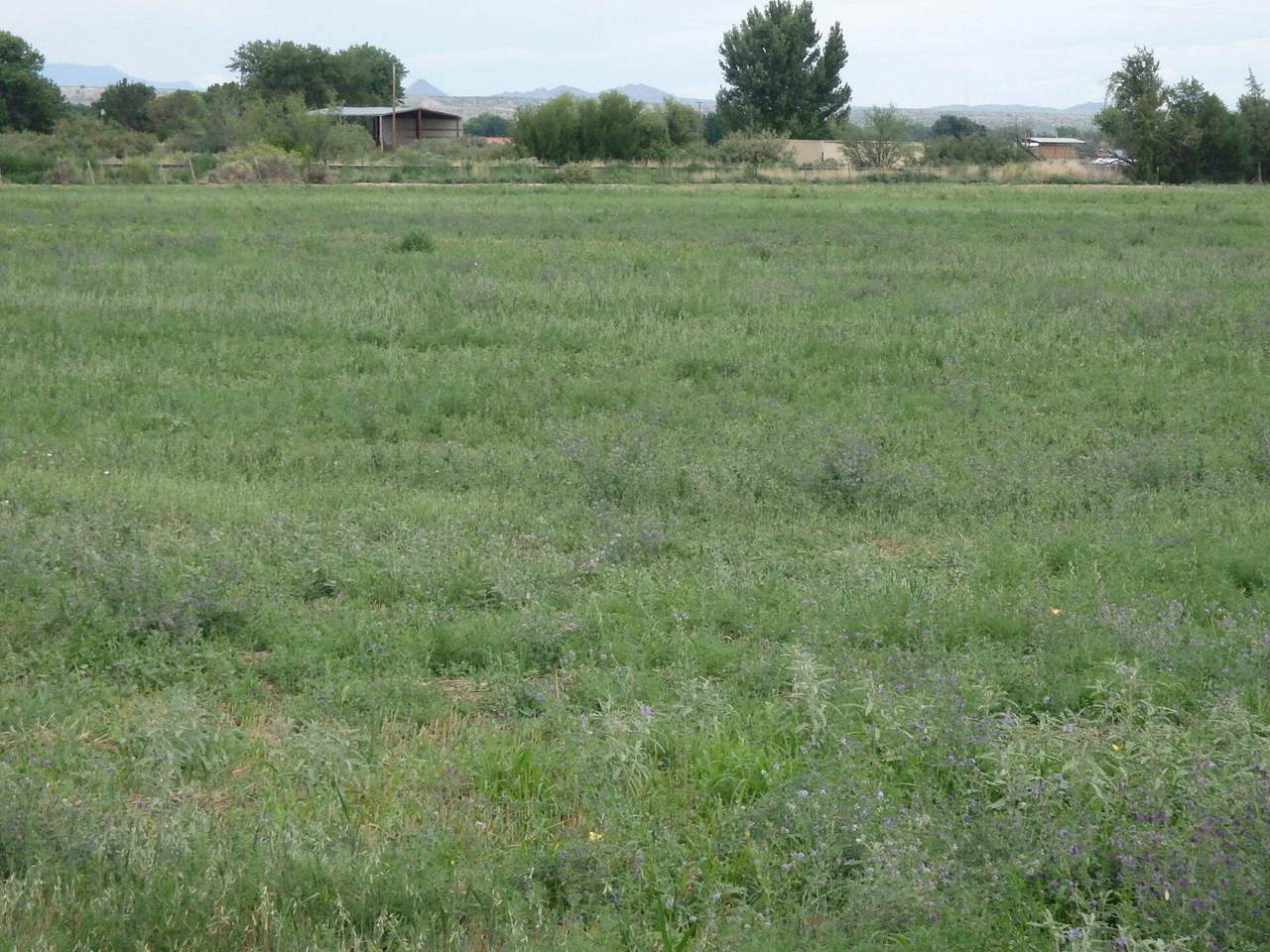 Luis Lopez Farm - Photo 1