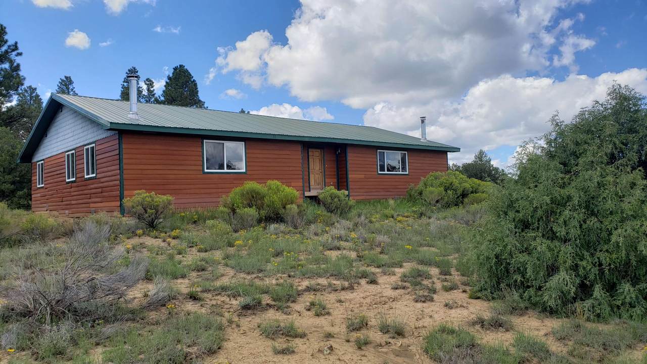 55 Bronco Lane - Photo 1