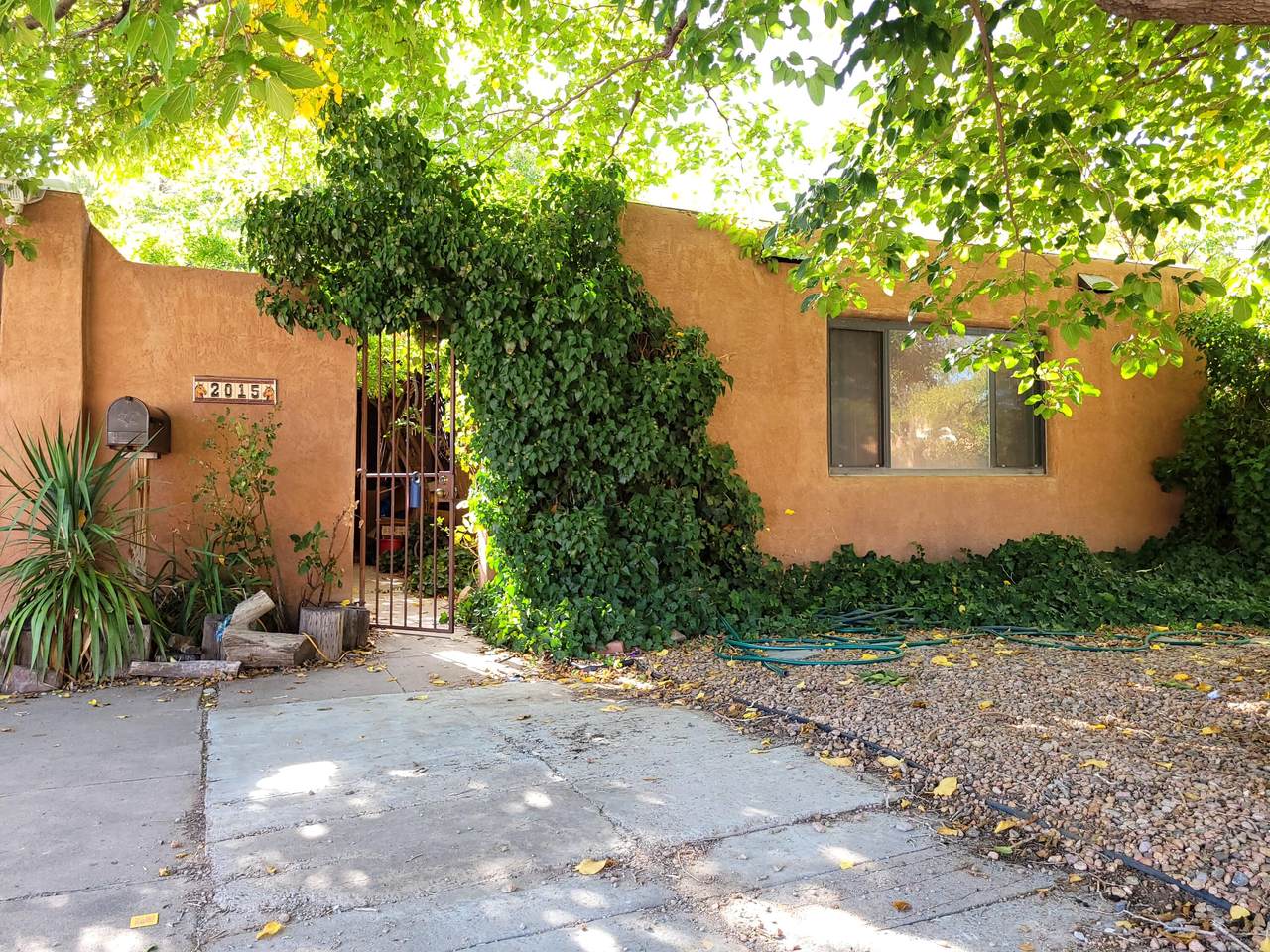 2015 Somervell Street - Photo 1