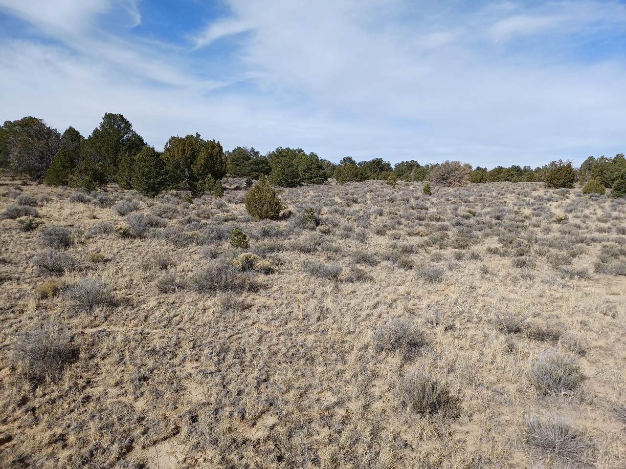 0 Sierra De Manana Drive - Photo 1