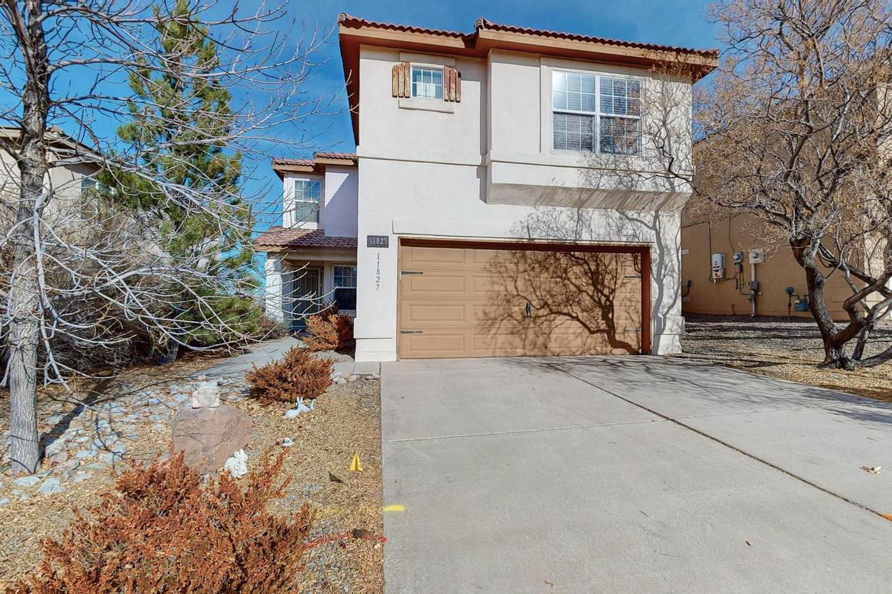 11827 Native Dancer Road - Photo 1