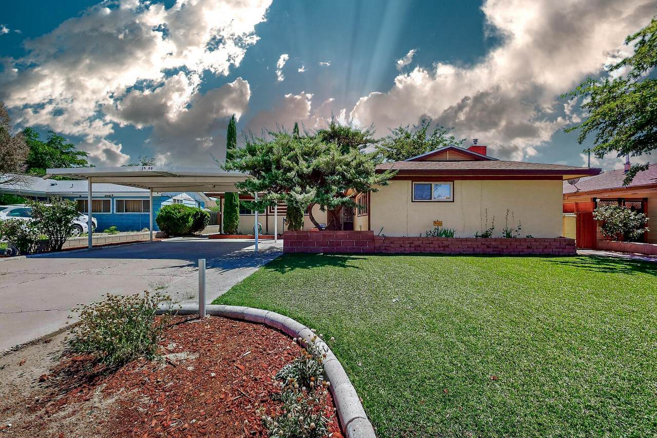 3900 Delamar Avenue - Photo 1