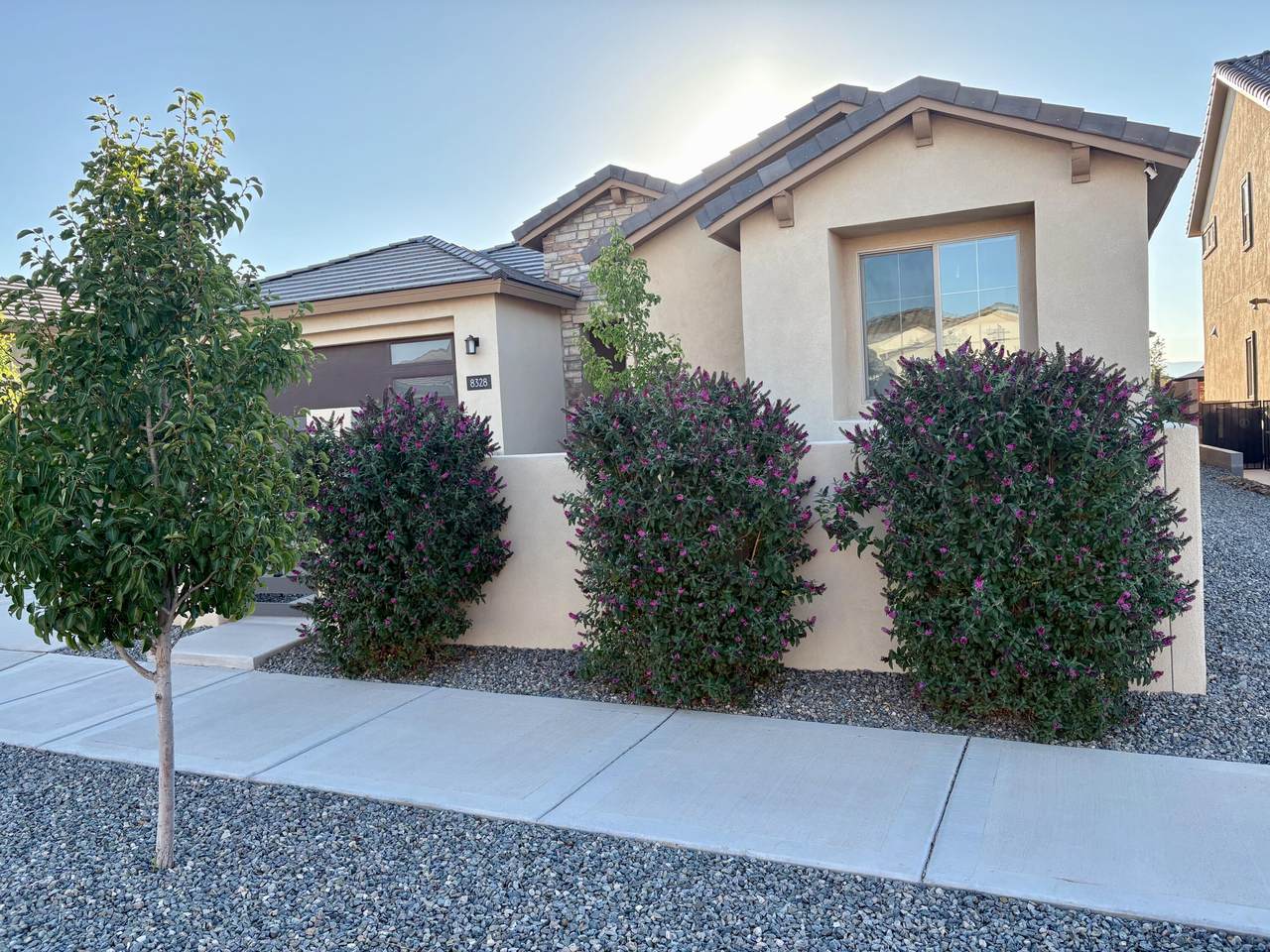 8328 Salinger Way - Photo 1