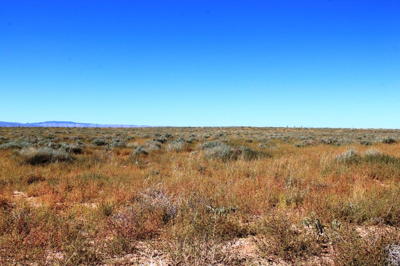 Rio Rancho Grande Lot157 Unit1 - Photo 1