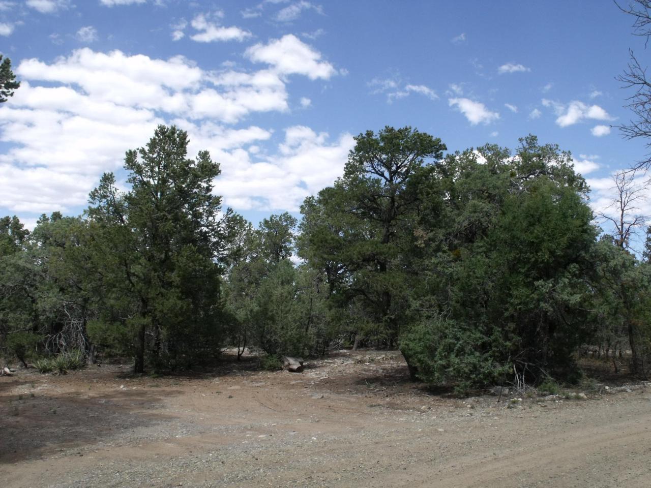 26 La Cresta Circle - Photo 1
