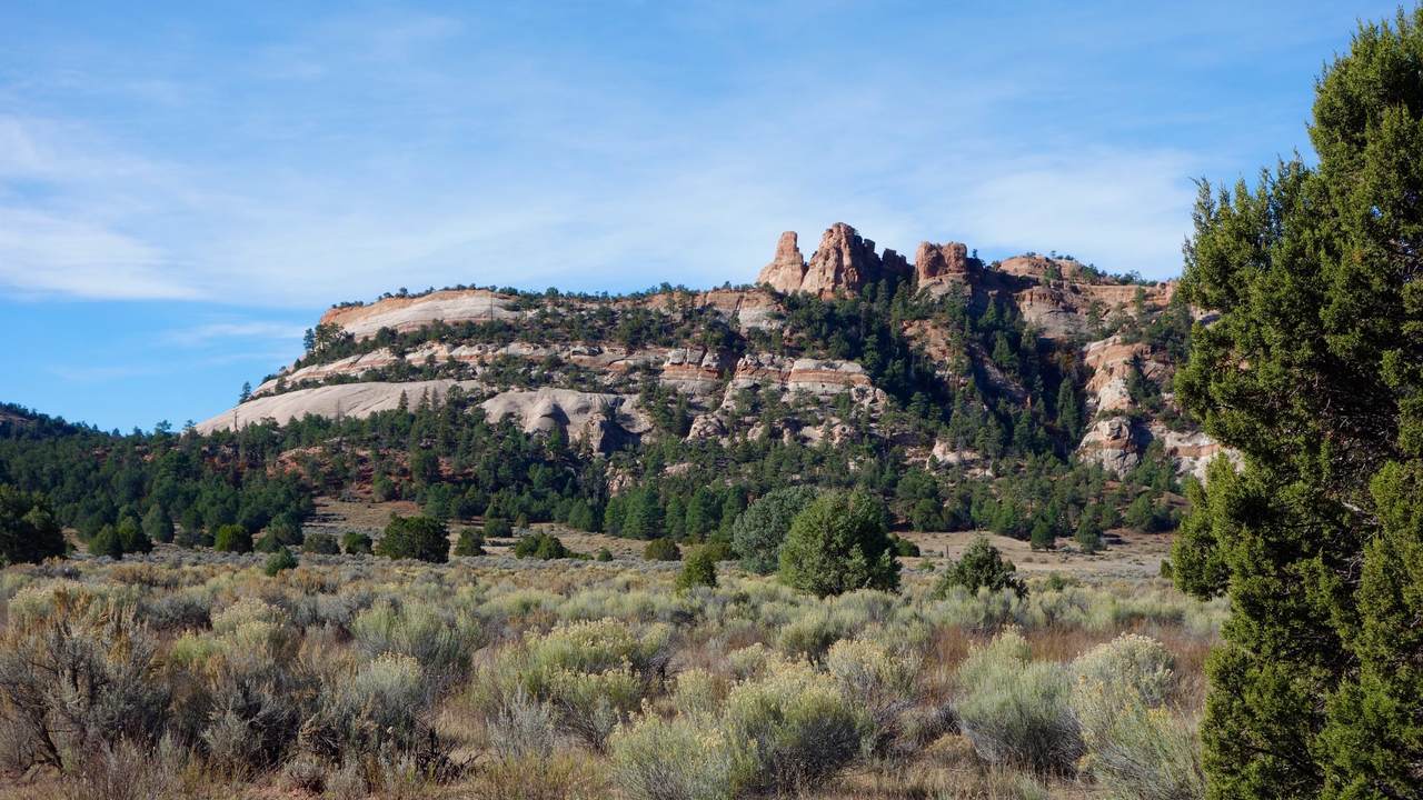 B Box S Ranch Road - Photo 1