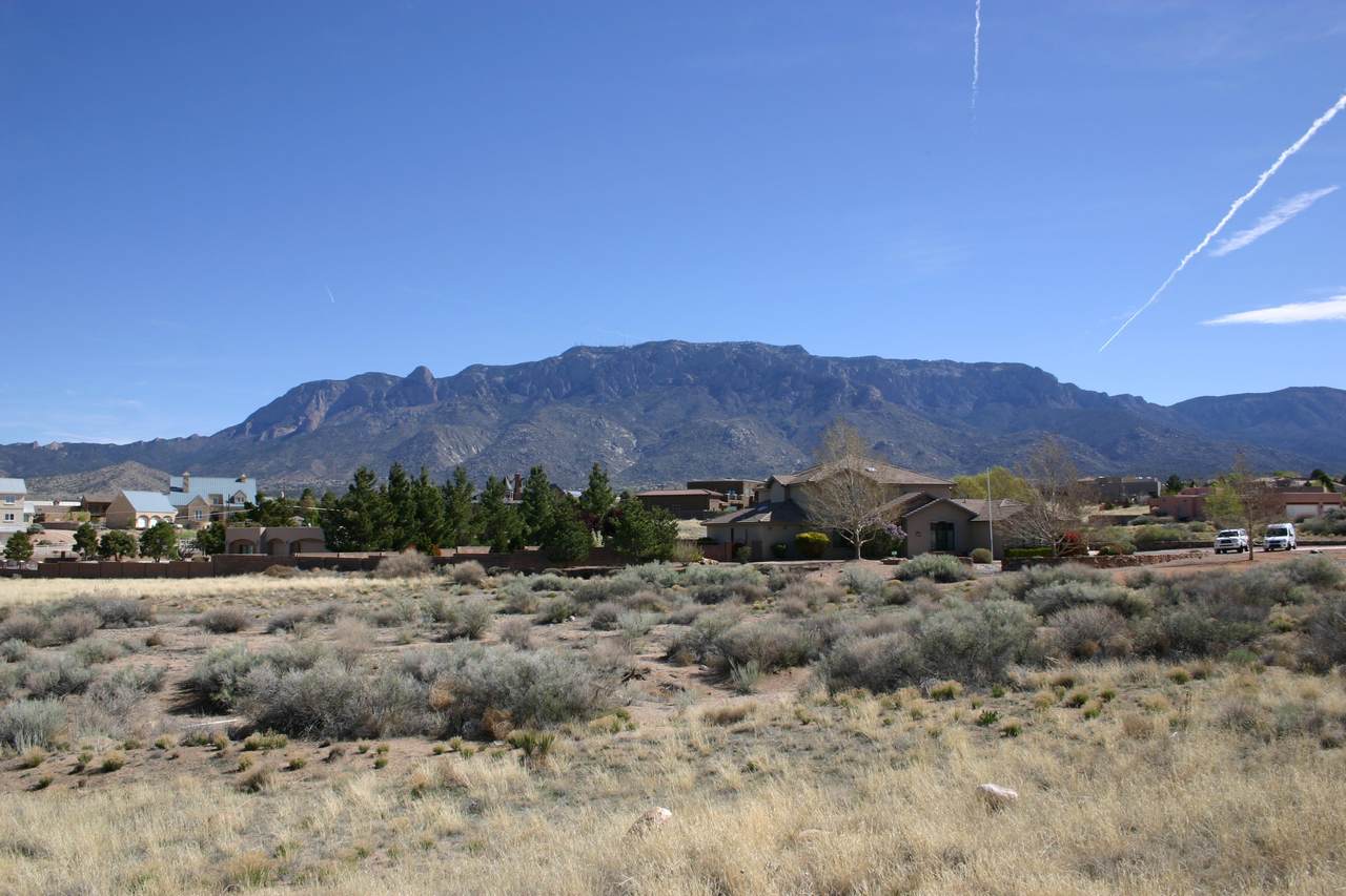 Pino (Lot 19) Avenue - Photo 1