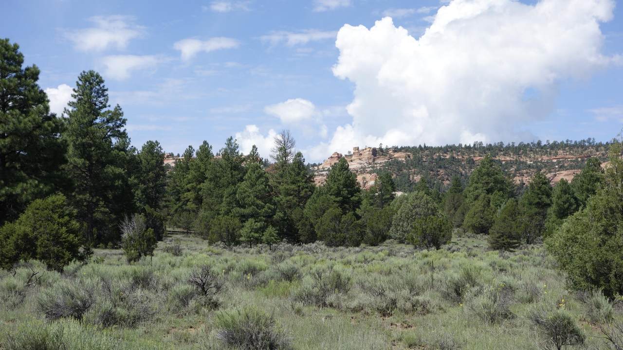 Lot 3 Lobo Drive - Photo 1