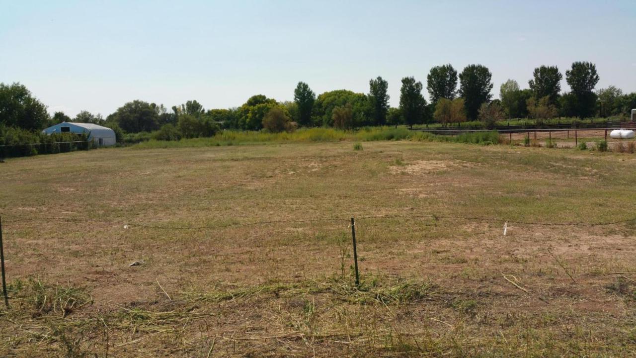 Clover Hill Lane - Photo 1
