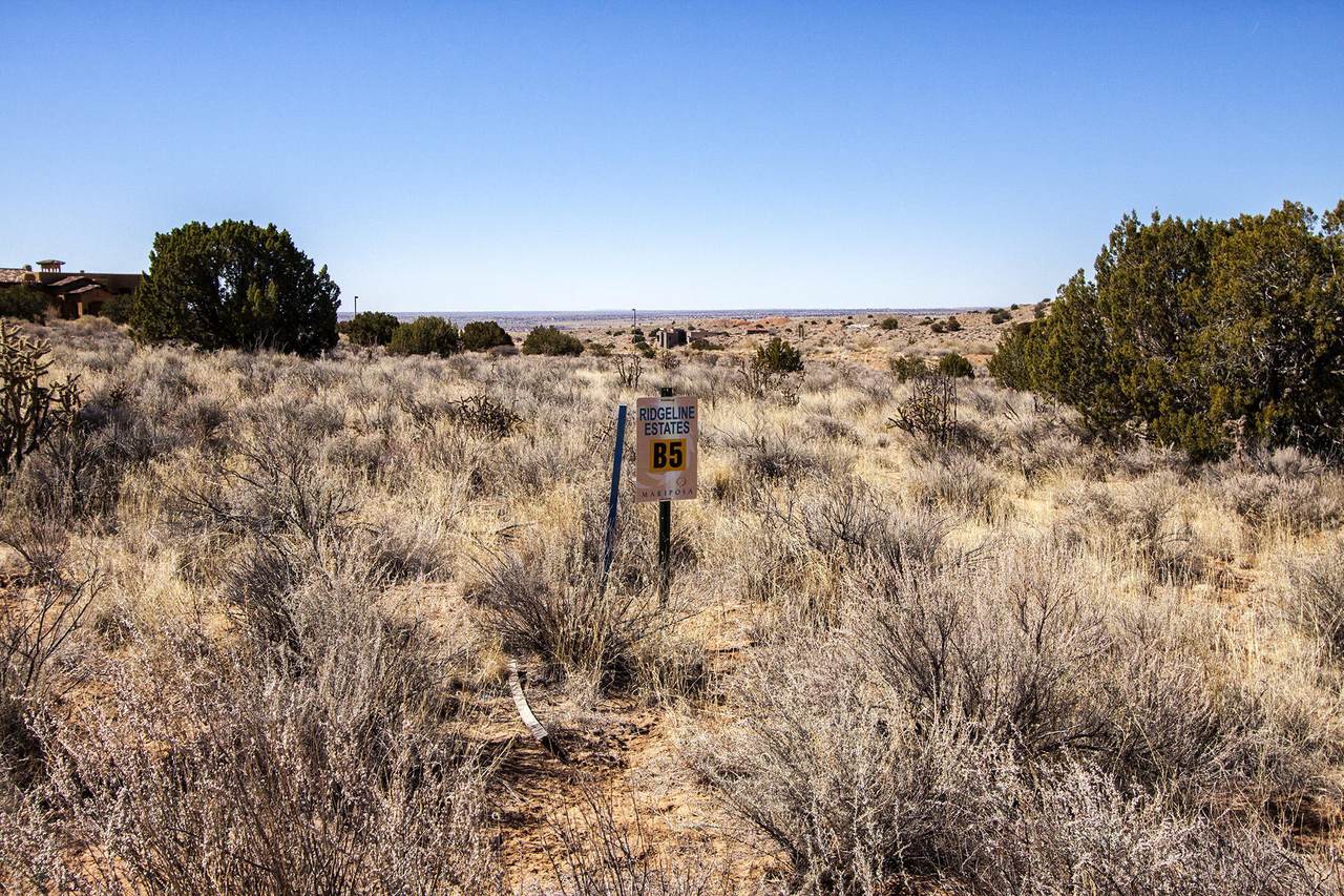 Ridgeline Place - Photo 1