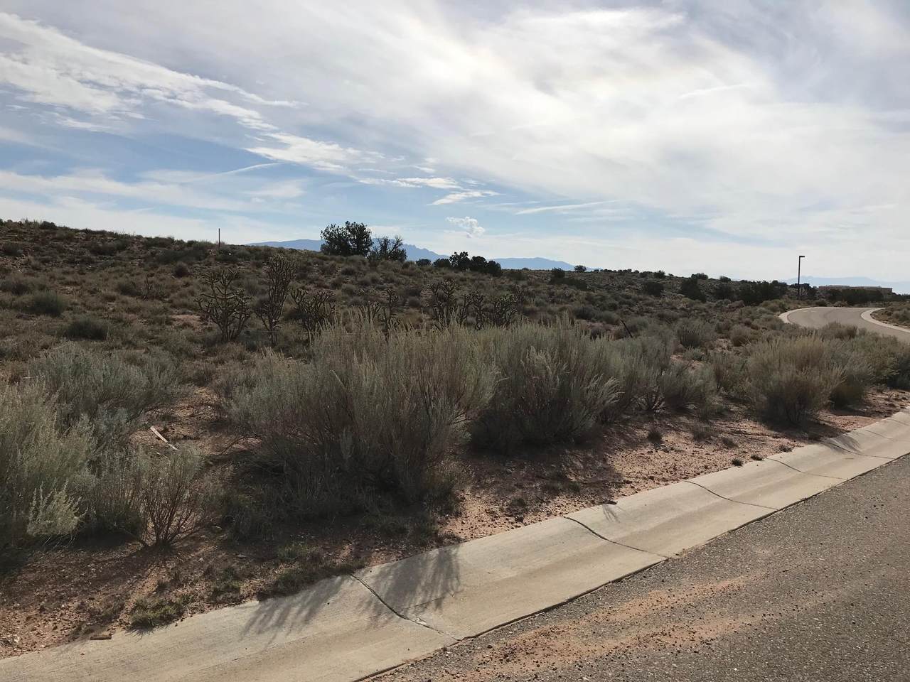 Rooster Point Road - Photo 1