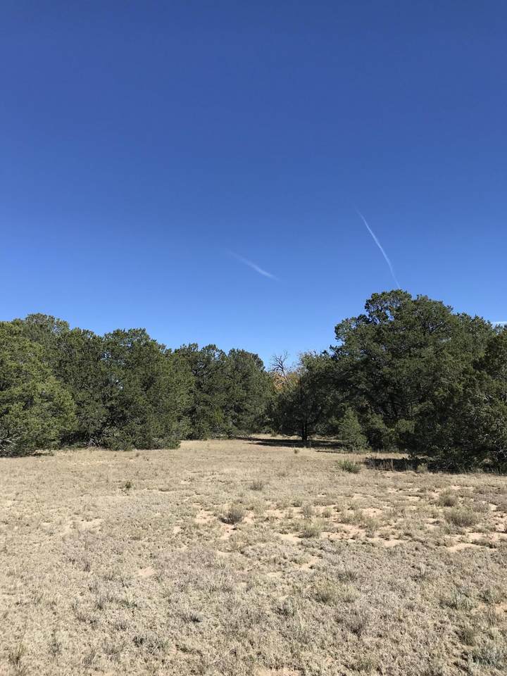 Tr A-3 Land Of Augustine And - Photo 1