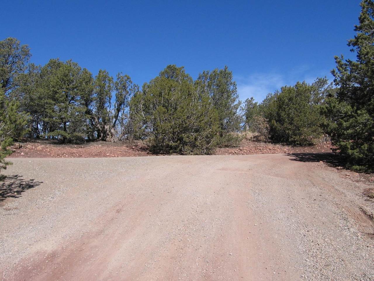 4 Juniper Ridge Road - Photo 1