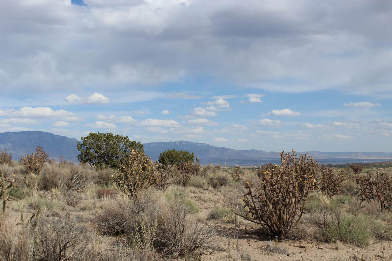 31st Avenue - Photo 1