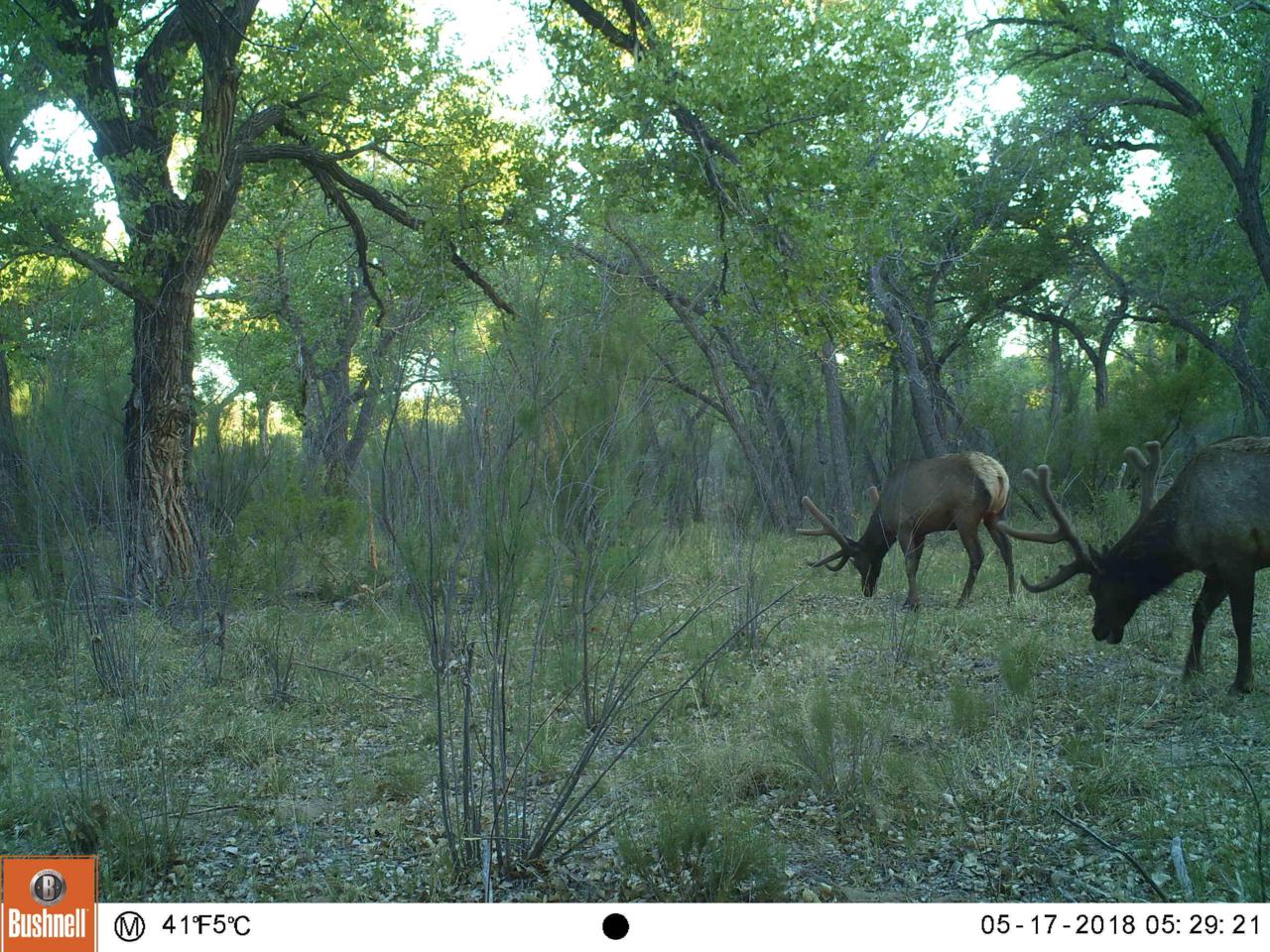 Bosque Retreat - Photo 1