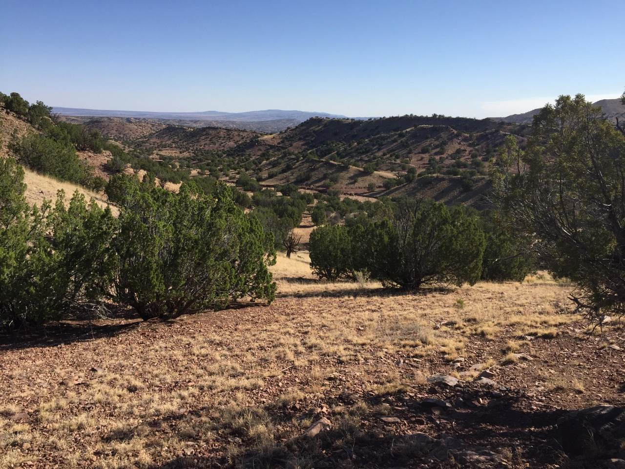 13 Abbe Springs Ranches - Photo 1