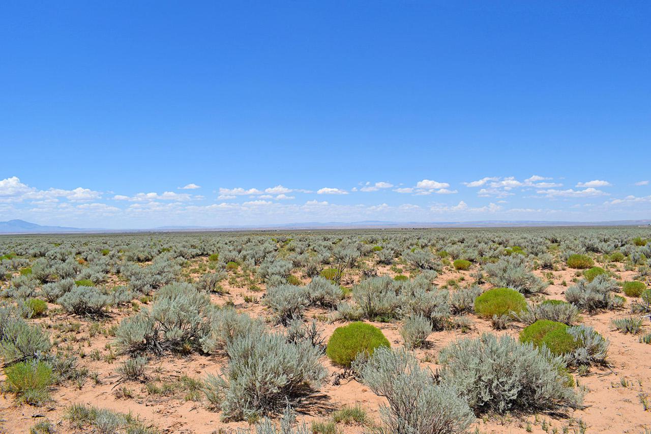 Lot 89 Rancho Rio Grande - Photo 1