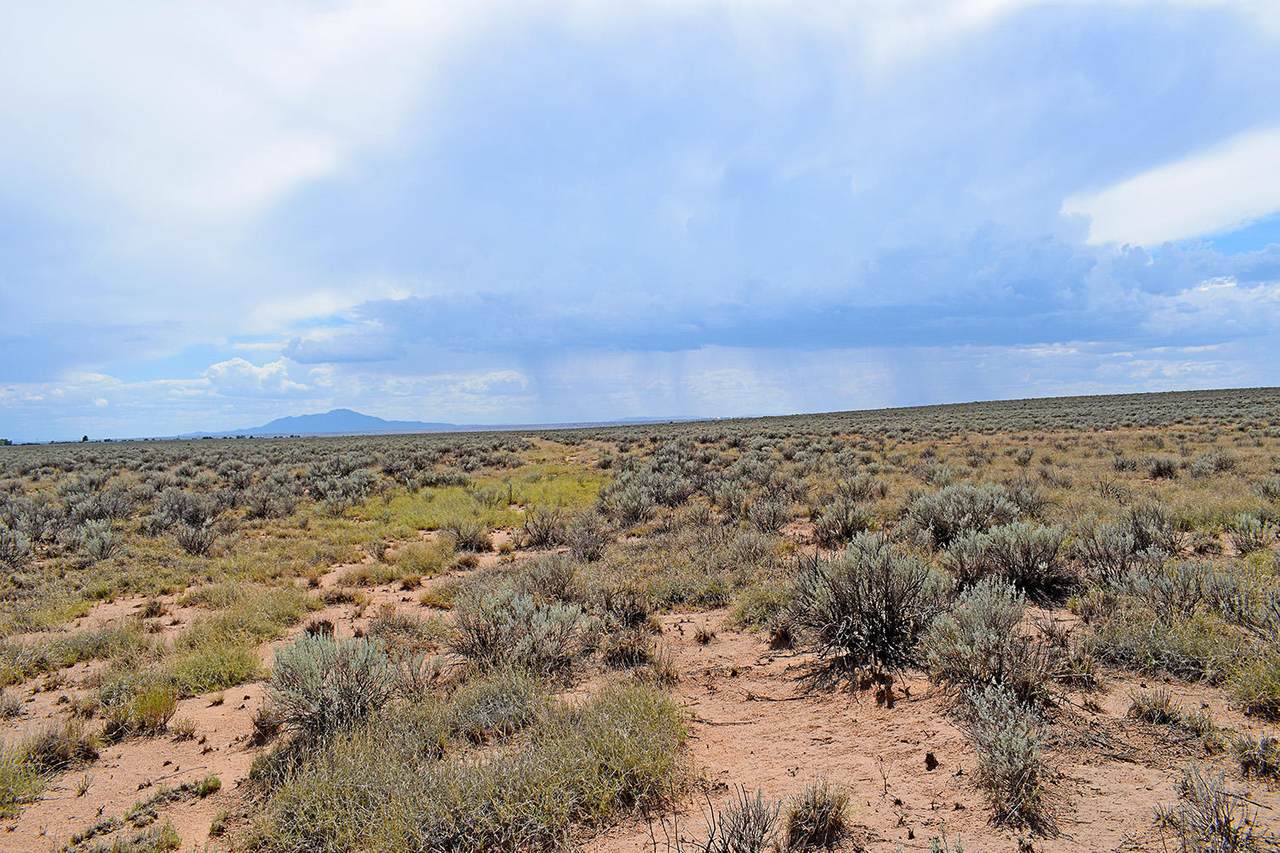 Lot 28 Rio Del Oro - Photo 1