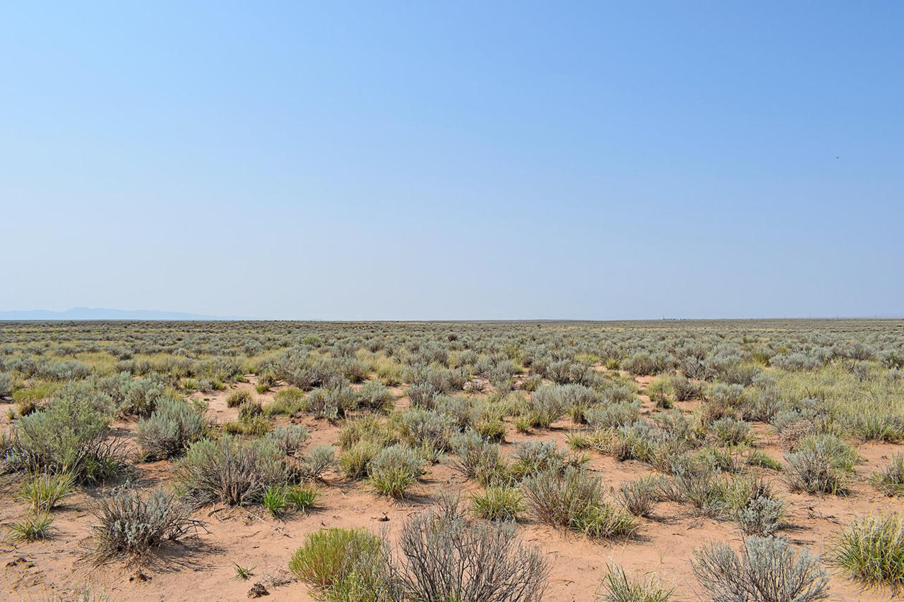 Lot 4 Rio Del Oro - Photo 1