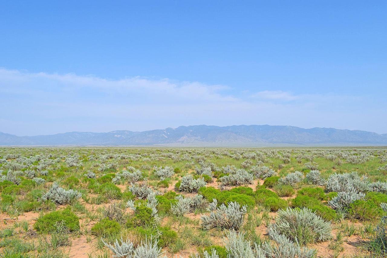 Lot 24 Rio Grande Estates - Photo 1