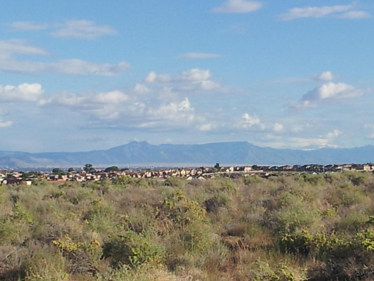 740 Viga Loop - Photo 1