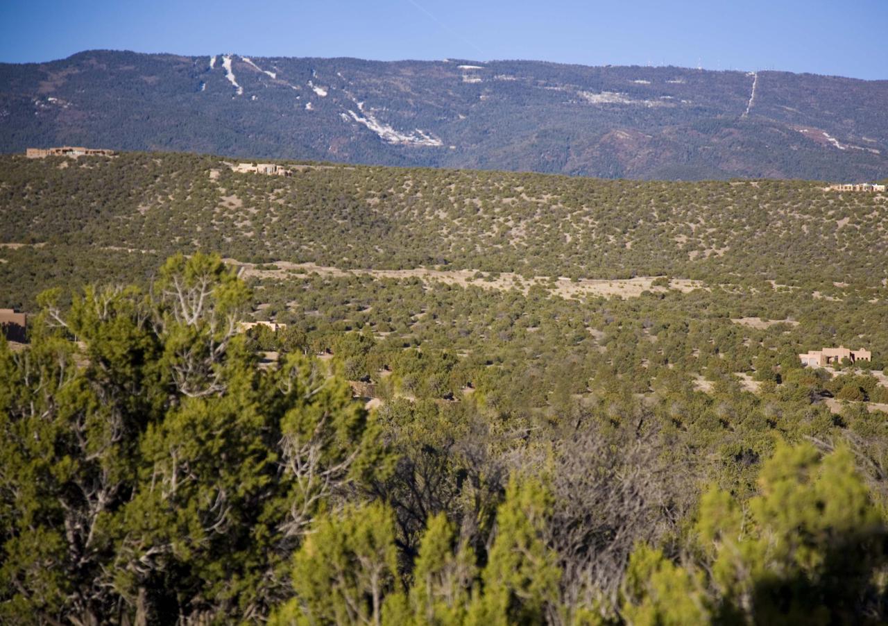 4 Cottonwood Trail - Photo 1