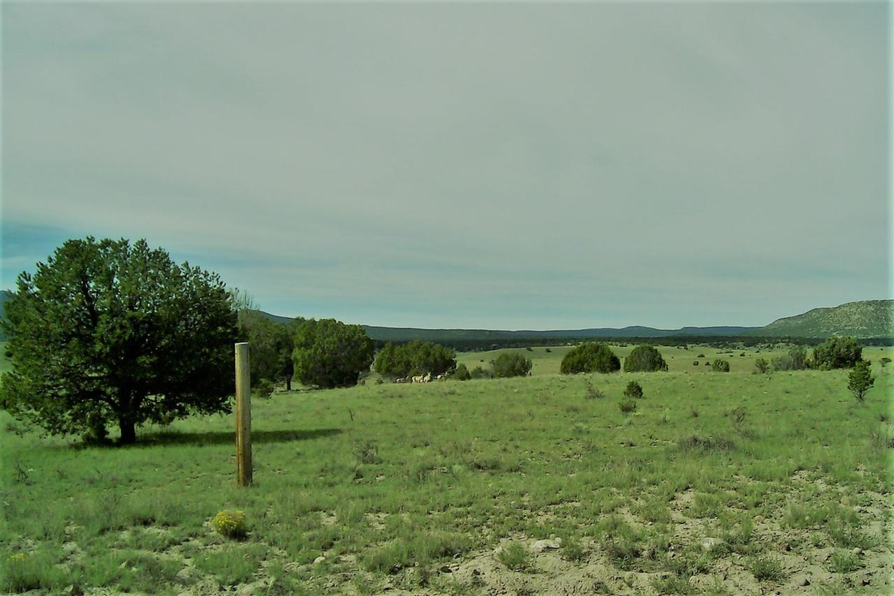 Thomas IV Road - Photo 1