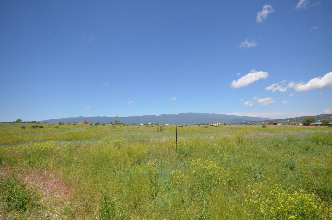 1153 Mountain Valley Road - Photo 1