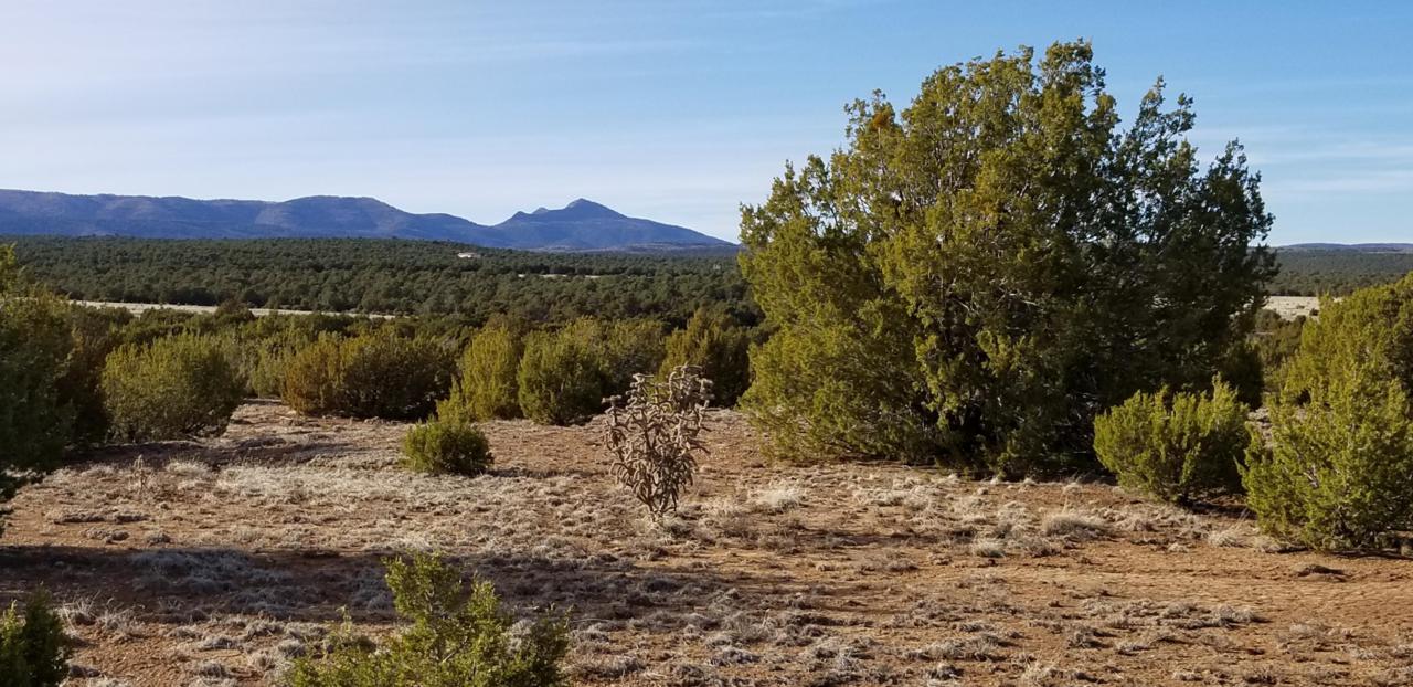 Nm 55 Highway - Photo 1