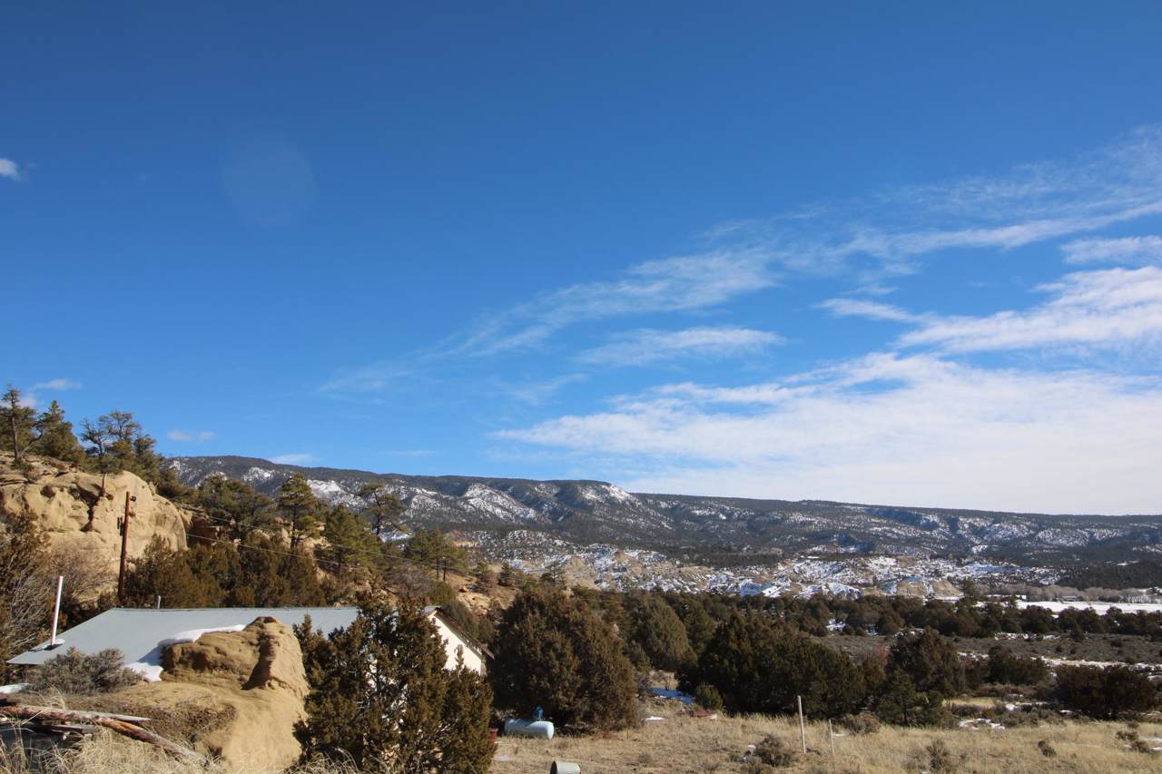 Los Pinos County Road - Photo 1 Los Pinos County Road - Photo 1