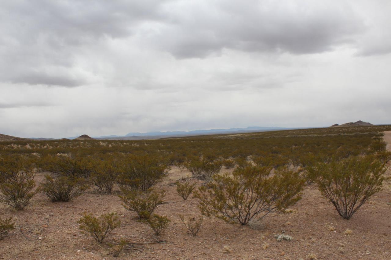 Santa Fe Trail Lane - Photo 1