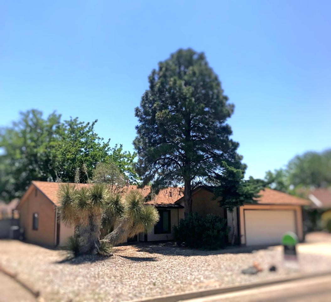 10112 Trevino Loop - Photo 1