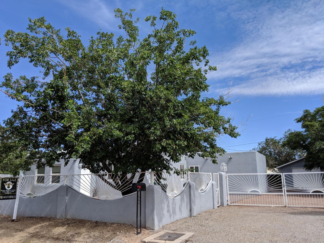133 Sandia View Road - Photo 1