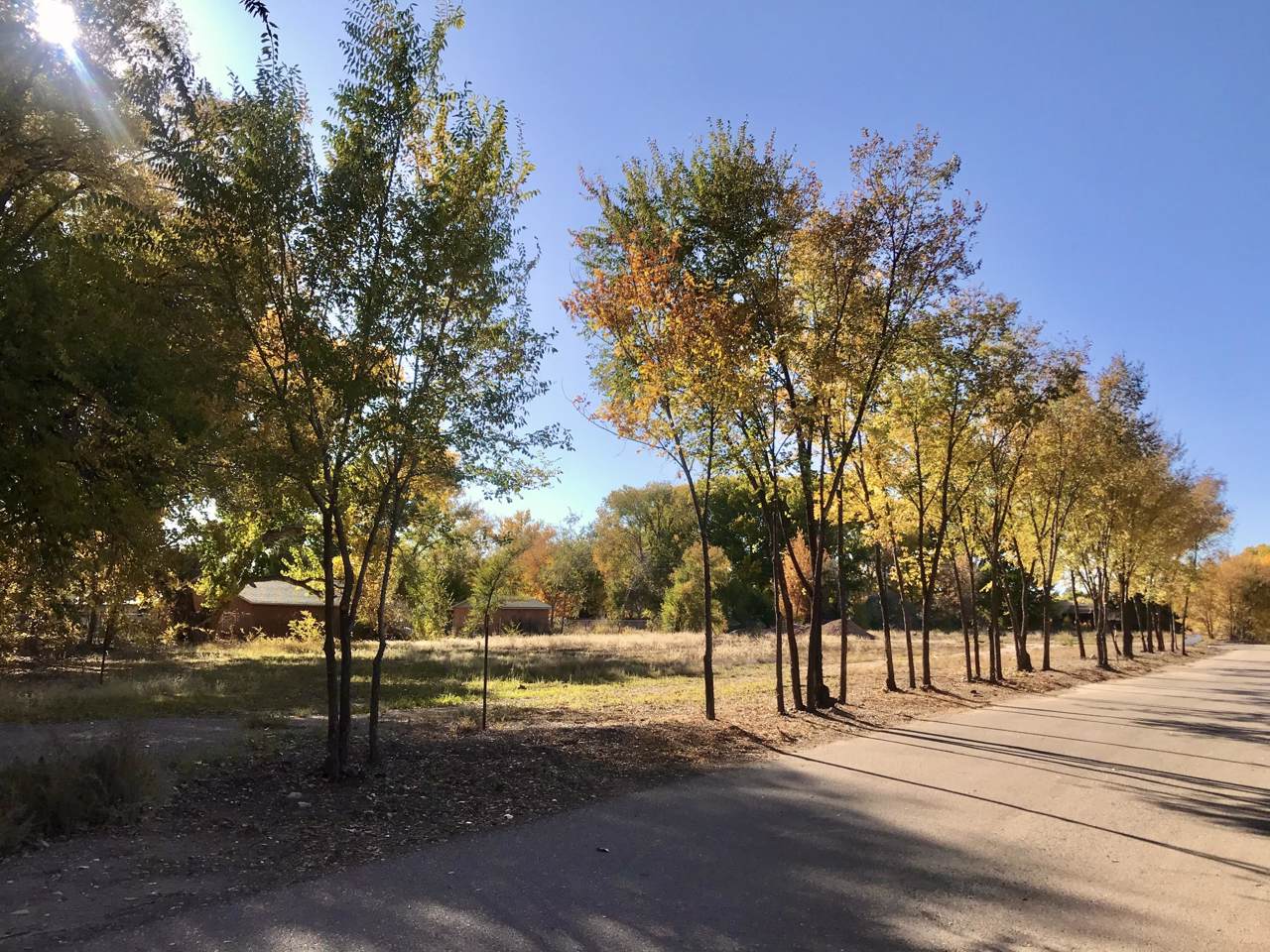 910 Terra Bella Court - Photo 1
