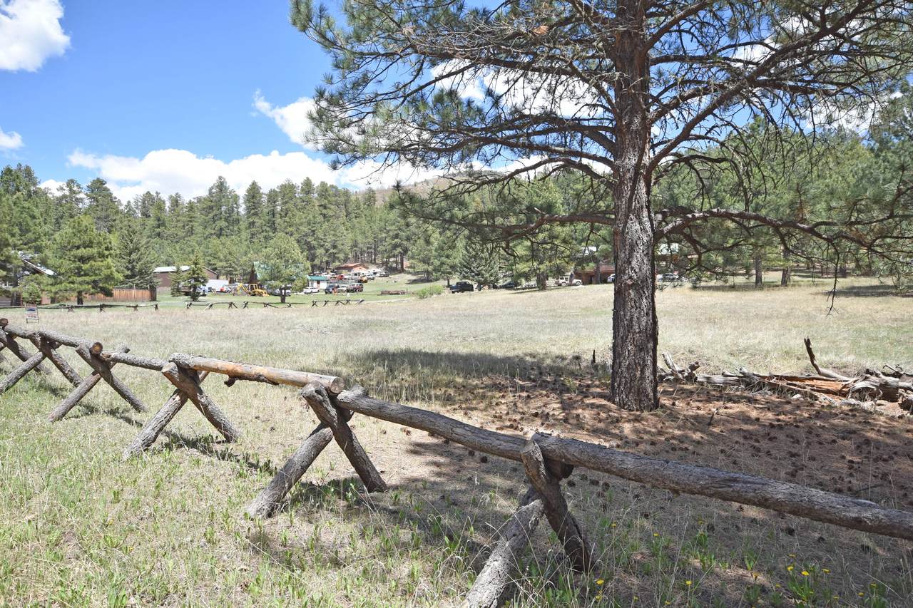Elk Trail - Photo 1
