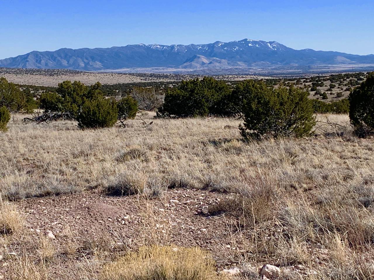 174 Pinon Springs Ranch - Photo 1