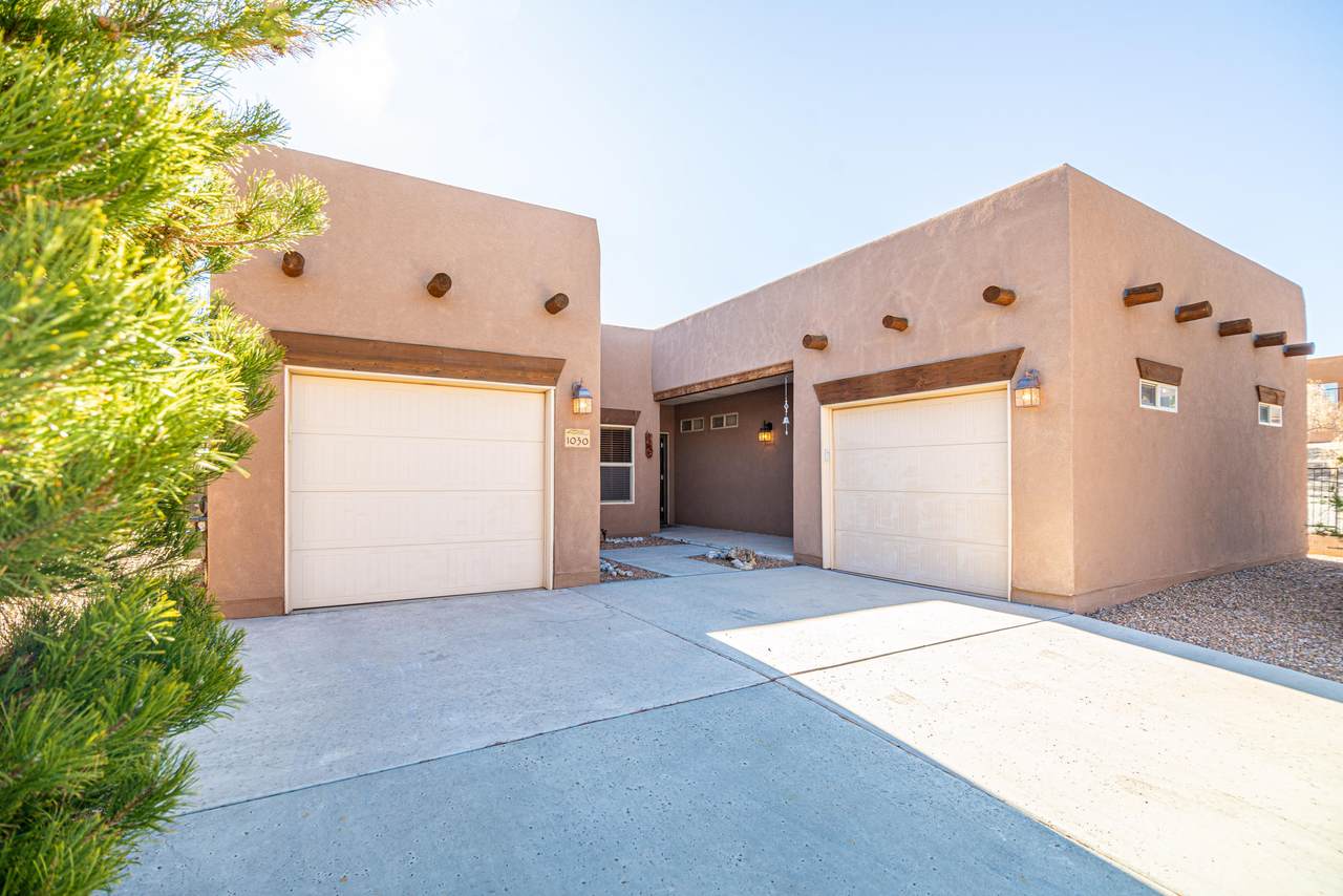 1030 Mountain Phlox Way - Photo 1