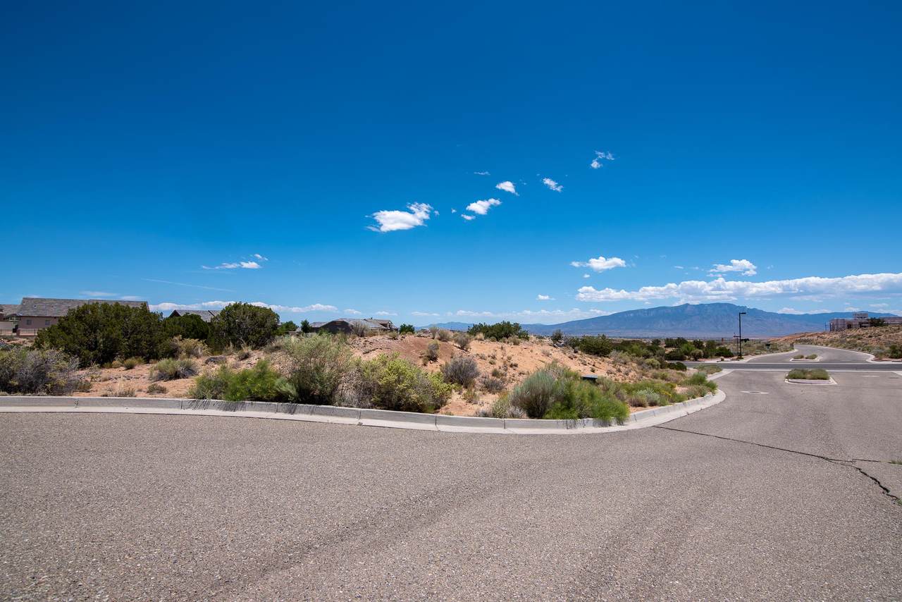 2401 Desert Marigold Road - Photo 1