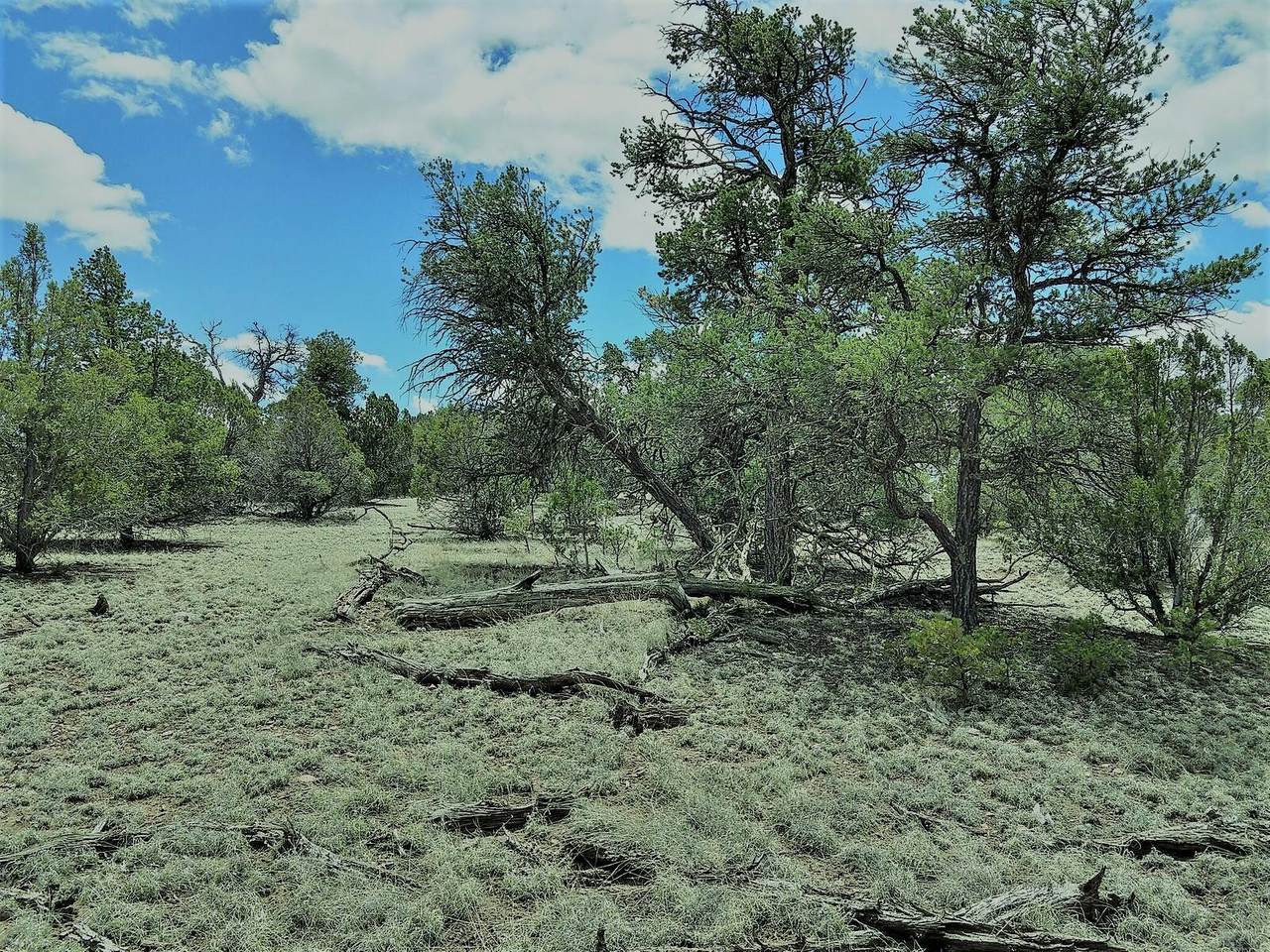 lots 32&34 Last Frontier Trail - Photo 1
