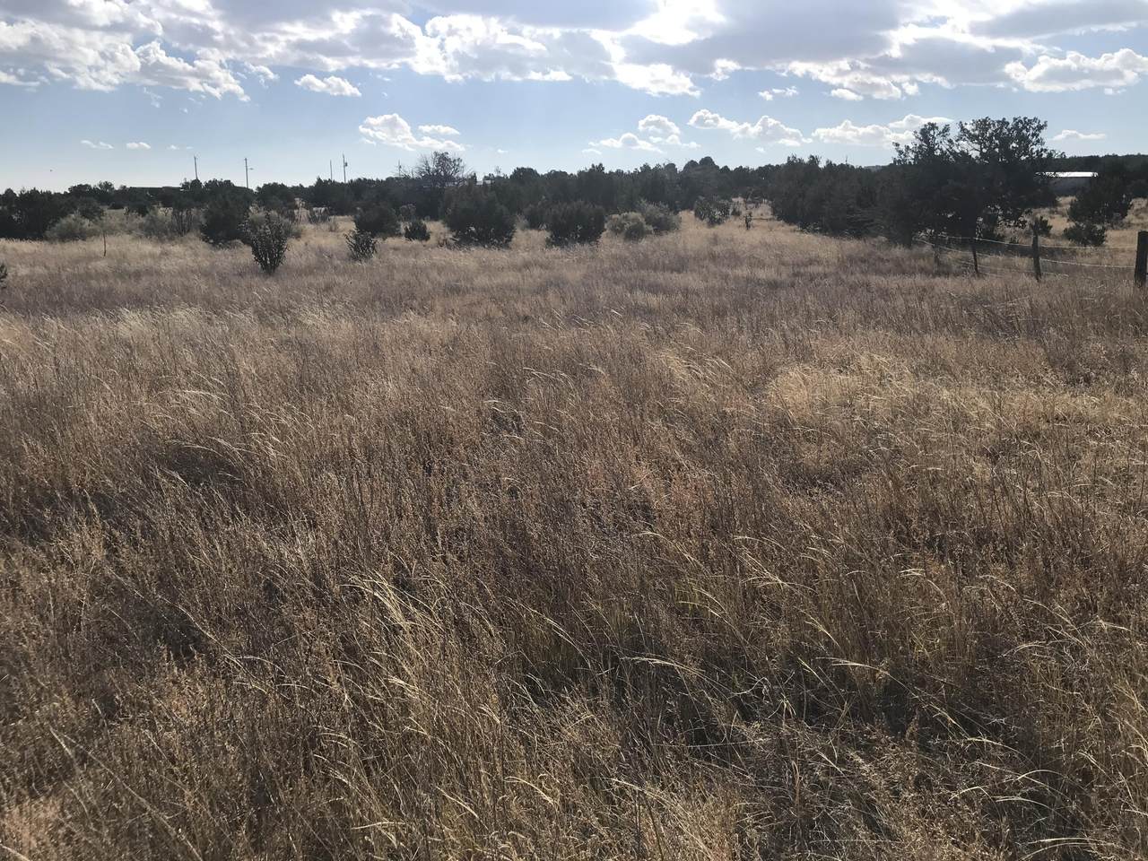 Lot 58 171 Indian Hills Road - Photo 1