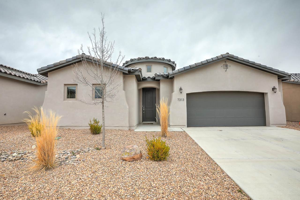 7313 Laguna Niguel Drive - Photo 1